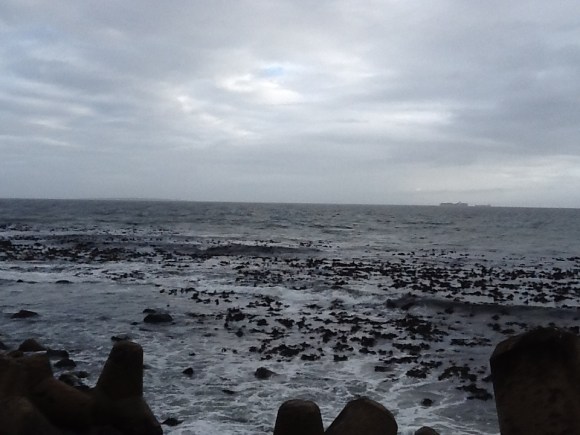 20130412-084125 PM.jpg