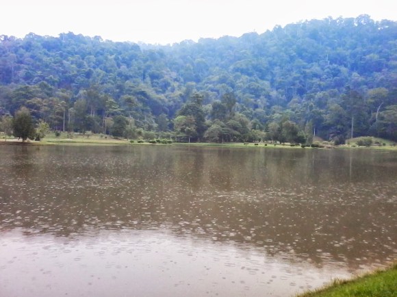 20131129-063949 am.jpg