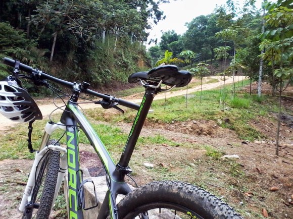 20131129-065730 am.jpg