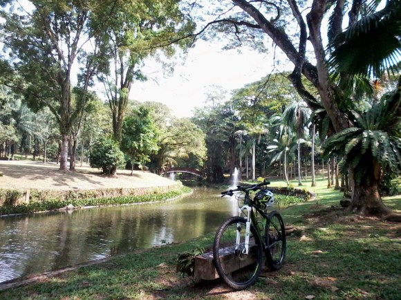 20131130-042725 pm.jpg