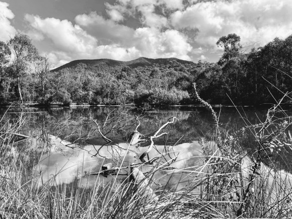 God is not&nbsp;dead